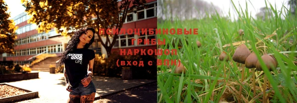 прущая мука Алексин