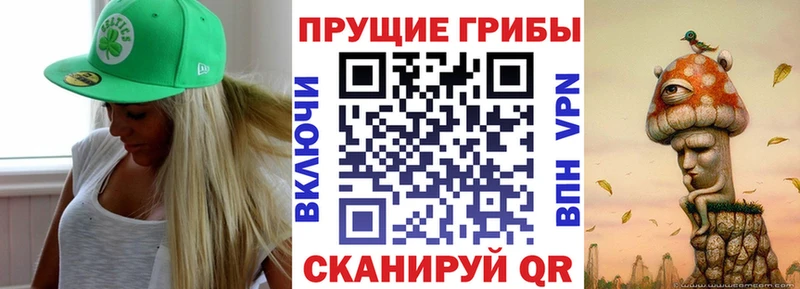 маркетплейс Telegram  продажа наркотиков  блэк спрут   Покров  Галлюциногенные грибы Cubensis 